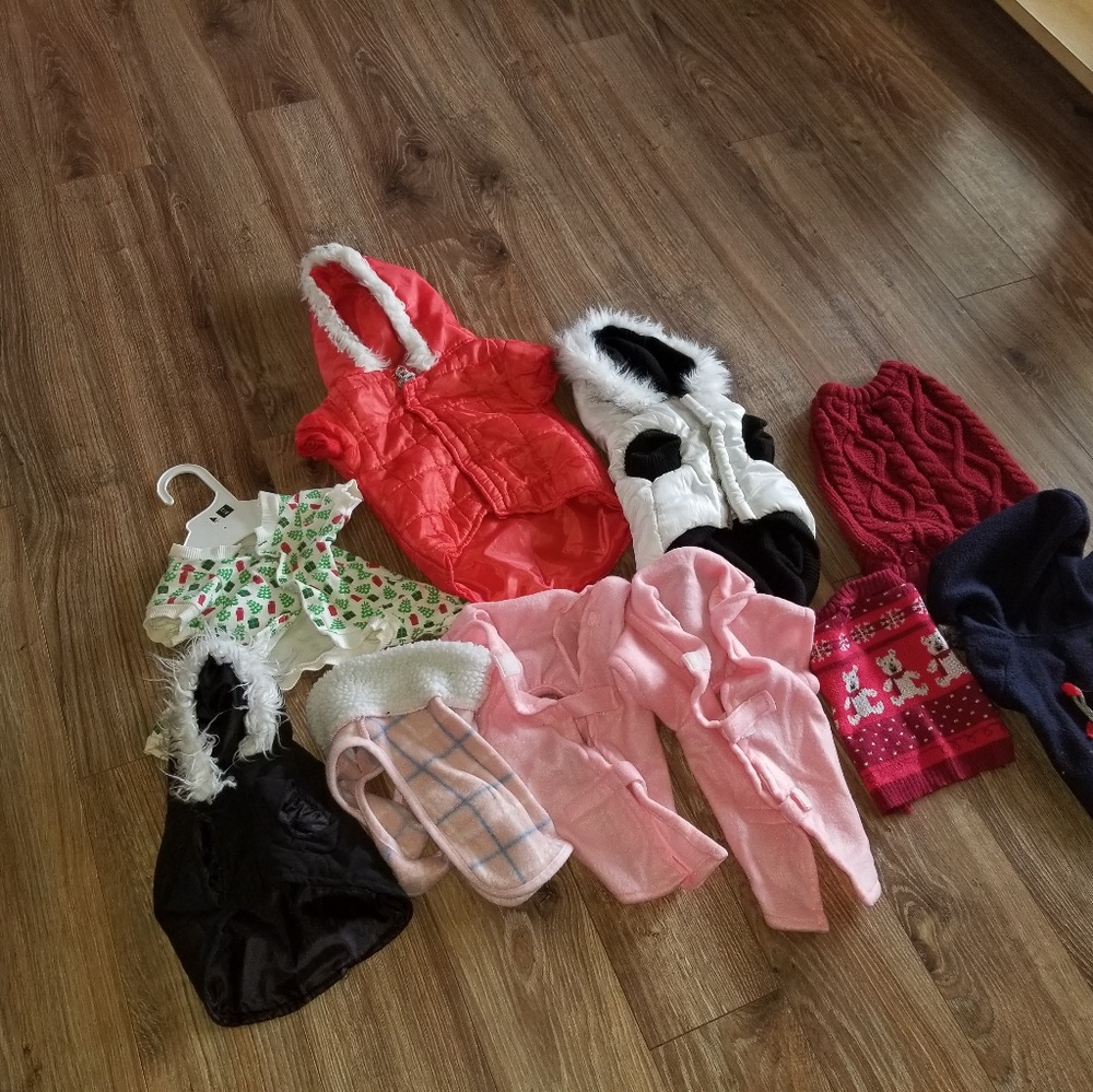 Little Dog Coats, Sweaters PJ's